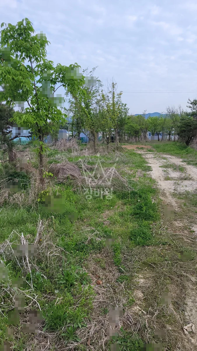 광주 북구 포크레인 도로 작업 현장