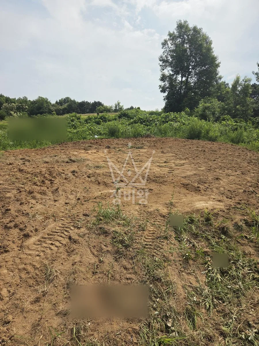 충남 논산시 포크레인 터파기 작업 현장