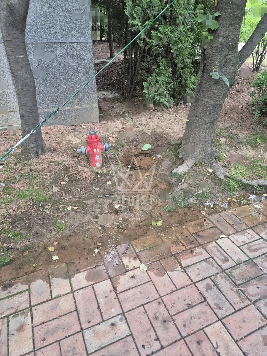 경기 안양시동안구 포크레인 도로 작업 현장