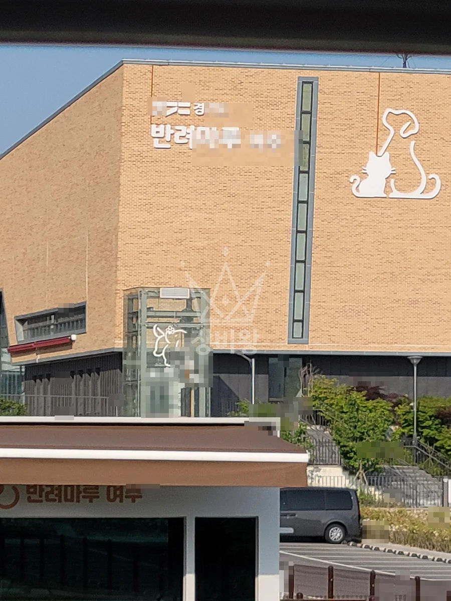 경기 수원시권선구 포크레인 배관 작업 현장