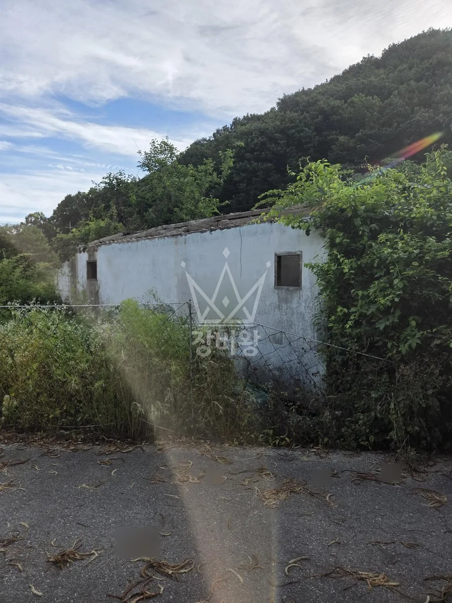 충남 천안시동남구 포크레인 도로 작업 현장