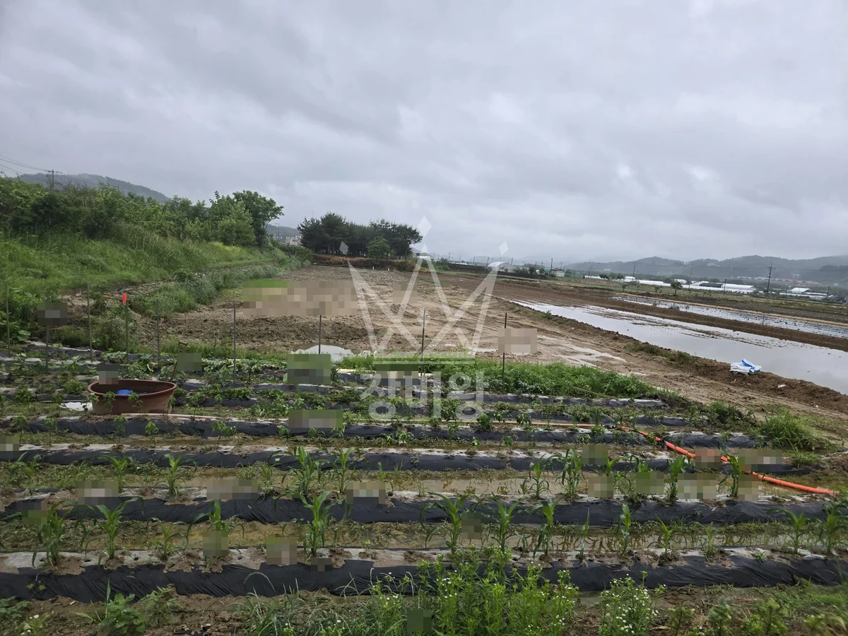 부산 사상구 포크레인 배관 작업 현장