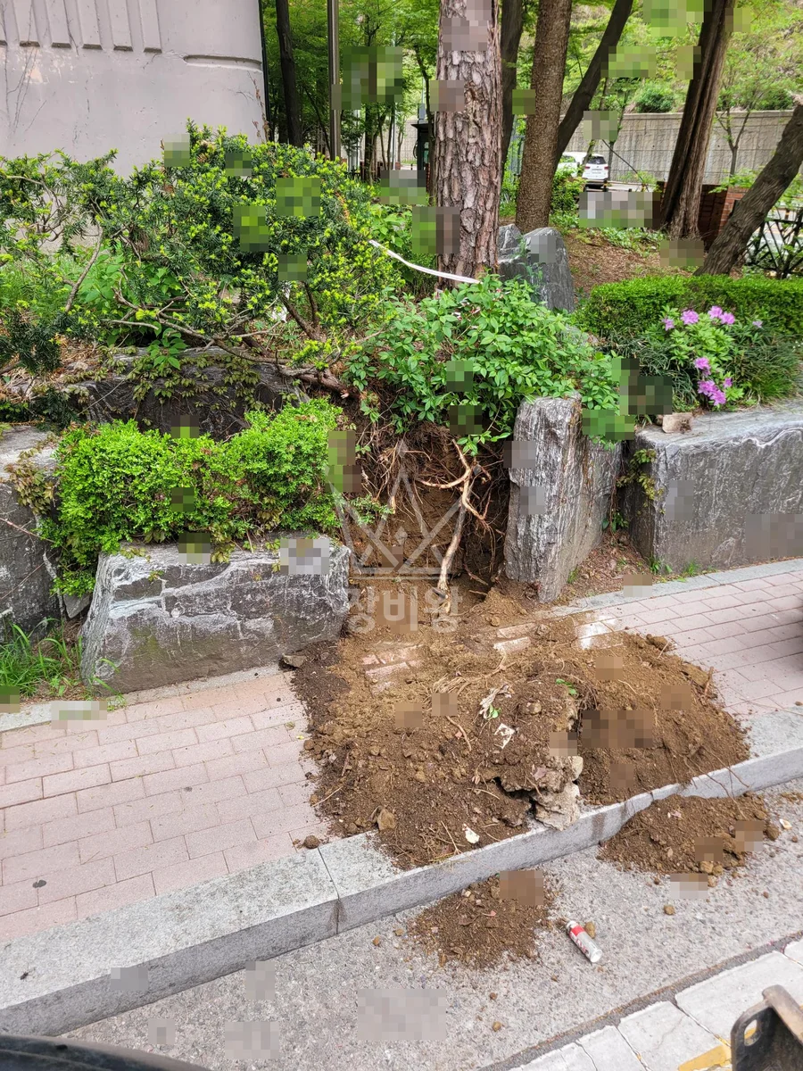 경기 용인시수지구 포크레인 정화조 작업 현장