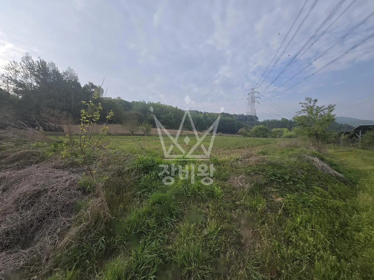 충남 청양군 포크레인 도로 작업 현장